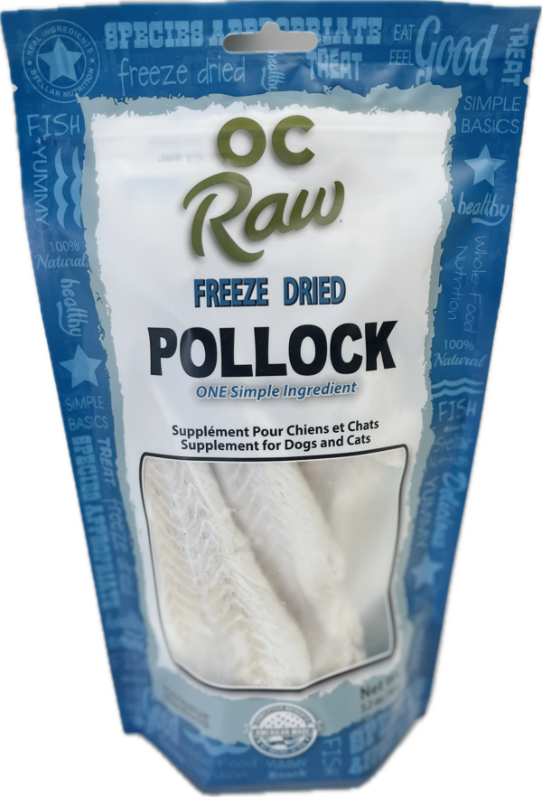 Pollock FD